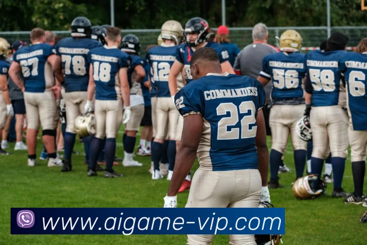 多媒体互动体验